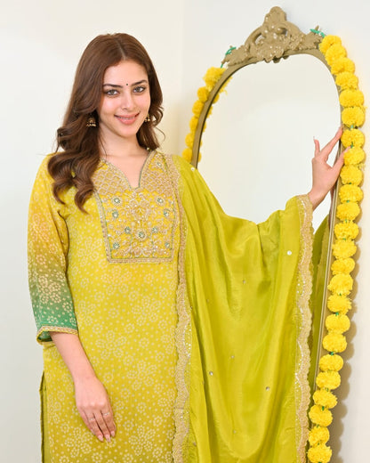 PURE GORGEOUS PREMIUM EMBROIDERY JARI WORKS SUIT SET