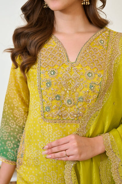 PURE GORGEOUS PREMIUM EMBROIDERY JARI WORKS SUIT SET